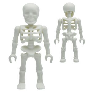 Skelet Mummy Schedel Boedha Beeld – 1