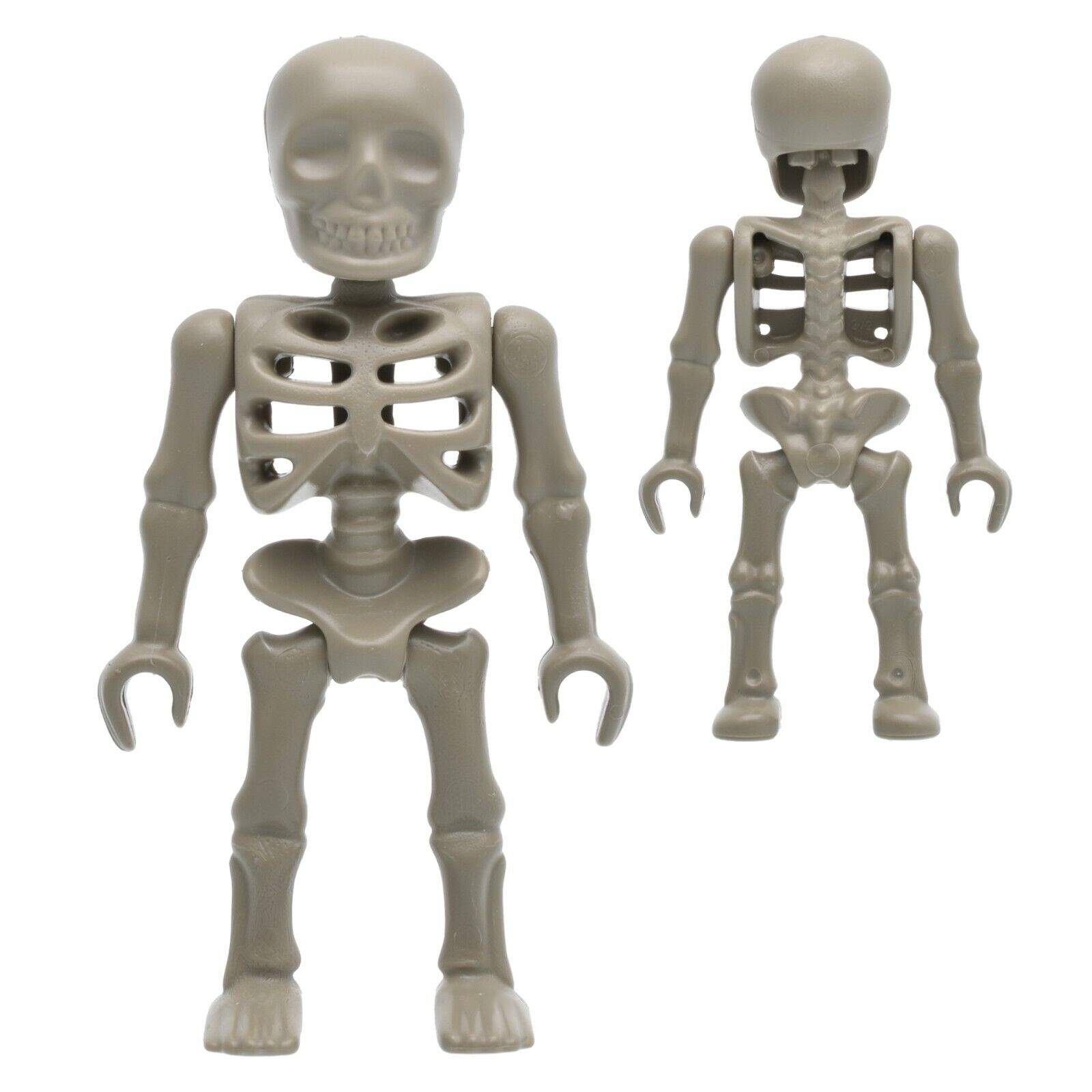 Skelet Mummy Schedel Boedha Beeld – 3