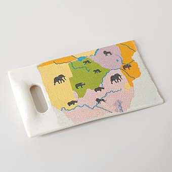 Safari Onderdelen – 04 Kaart