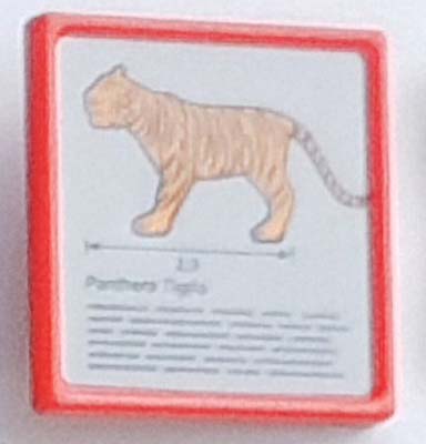 Dieren Bord Tijger Dierentuin