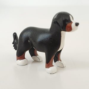 Puppy Honden – 6 Puppy Zwart Wite Pootjes