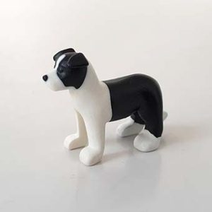 Dalmatiers, Duitse Herder, Chihuahua – 3 Border collie-puppy
