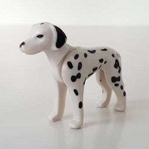 Dalmatiers, Duitse Herder, Chihuahua – 7 Dalmatischer