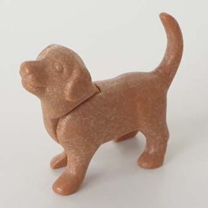 Sint Bernard, Labrador Puppy, Scooby-Doo – 08 Labrador Puppy staand Bruin