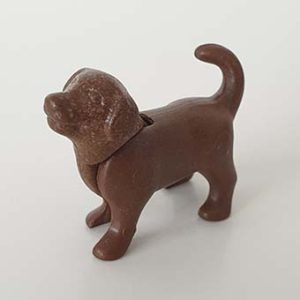 Sint Bernard, Labrador Puppy, Scooby-Doo – 09 Labrador Puppy staand Donker Bruin