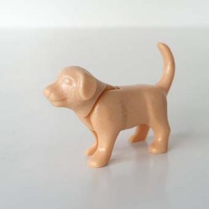 Sint Bernard, Labrador Puppy, Scooby-Doo – 07 Labrador Puppy staand Licht Bruin