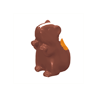 Baby Tijger, Cavia, Mini Cavia, hamster, kittens – 07