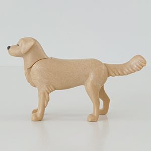 Puppy Honden – 9 Hond Lange Staart Licht Bruin