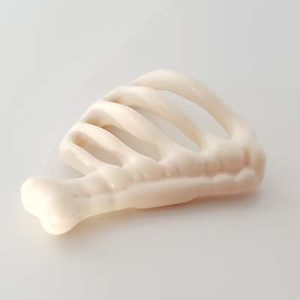 Botten Skelet Ribstuk
