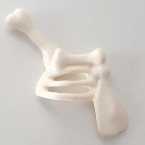 Botten Skelet Ribben