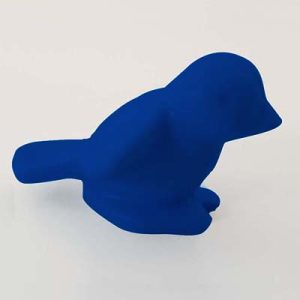 Vogel Bruin Oranje Blauw Geel Groen Rood – Vogel hoog kopje D.Blauw