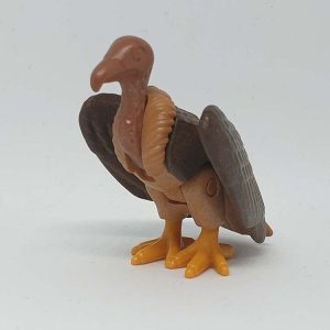 Adelaar, Pauw, Pelicaan, Zee-eend-vogel, Uil – Roofvogel