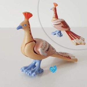 Wijze Uilen, Fabel Uilen, Bos Uil, Pauw, Ooievaar – 2 Gouden Pauw