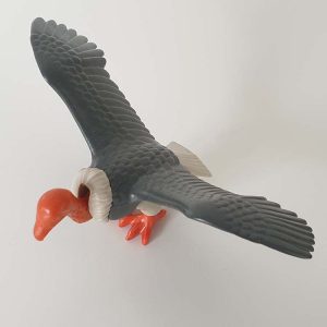 Roofvogel, Adelaar, Gier – 01 Gier
