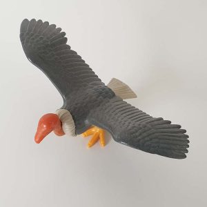 Roofvogel, Adelaar, Gier – 02 Gier