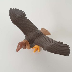 Roofvogel, Adelaar, Gier – 03 Gier
