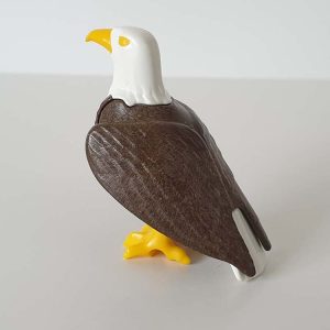 Roofvogel, Adelaar, Gier – 04 Adelaar