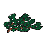 Playmobil Bomen en Takken Groen Serie 4 – BoomSerie 4 – nr 1