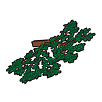 Playmobil Bomen en Takken Groen Serie 4 – BoomSerie 4 – nr 3