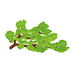Playmobil Bomen en Takken Groen Serie 4 – BoomSerie 4 – nr 5