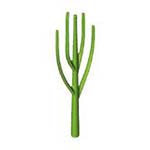 Playmobil Riet – Rietbodem – Riet L. Groen