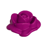 Rozen Bloem Roos dicht met een blad – half open – verwelkt – D. Roze Roos Open