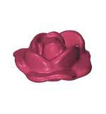 Rozen Bloem Roos dicht met een blad – half open – verwelkt – Oud Roze Roos Open