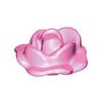 Rozen Bloem Roos dicht met een blad – half open – verwelkt – Roze Roos Open