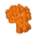 Kelk, Equisetum, Kruipplant, Bessen, Vrucht, Bloemstelen, Bloesem – Bessen Oranje