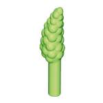 Kelk, Equisetum, Kruipplant, Bessen, Vrucht, Bloemstelen, Bloesem – Equisetum Groen