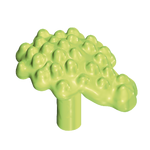 Kelk, Equisetum, Kruipplant, Bessen, Vrucht, Bloemstelen, Bloesem – Bessen Groen