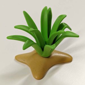 Catus Aloe Vera in zand