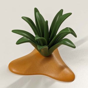 Catus Aloe Vera in zand
