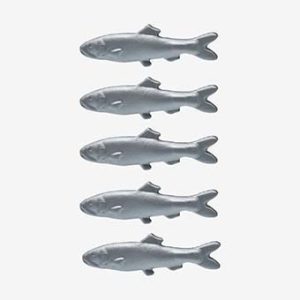 Koraalvissen Aal Vis Nemo Haring Siervis Zeeslang – 01