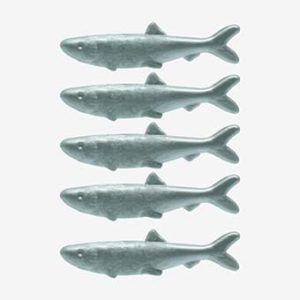 Koraalvissen Aal Vis Nemo Haring Siervis Zeeslang – 01