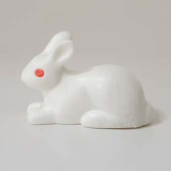 Playmobil Dier Mijnheer en Mevr. Konijn en Konijnen kindjes