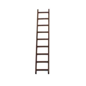 Playmobil Ladder