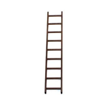 Playmobil Ladder