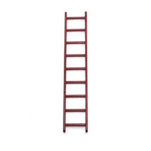 Playmobil Ladder