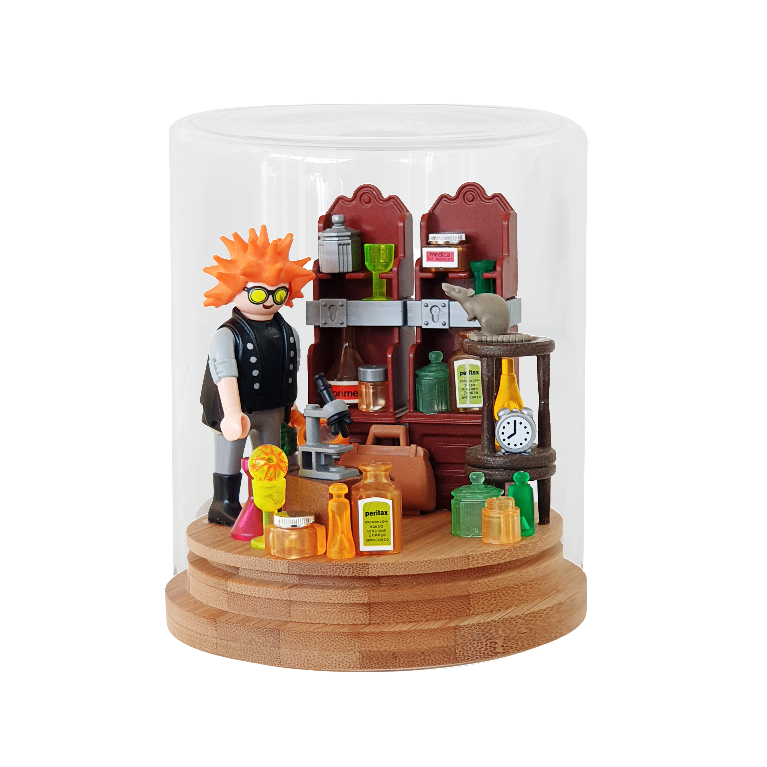 Playmobil Kunst in Stolp “Weird Scientist”