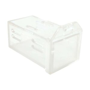 Glazen Kist Hagedis – Box Transparant