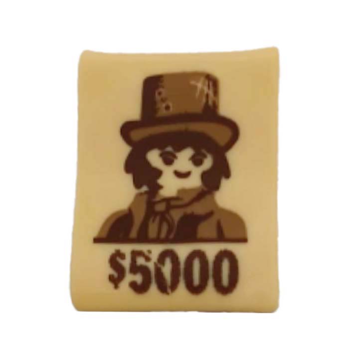 Playmobil 58001 Affiche