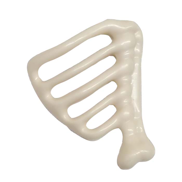 Botten Skelet Ribben