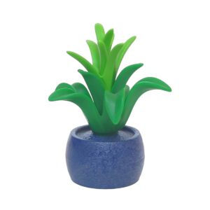 Kamerplant