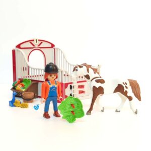 Paardrijdster Met Paardenbox