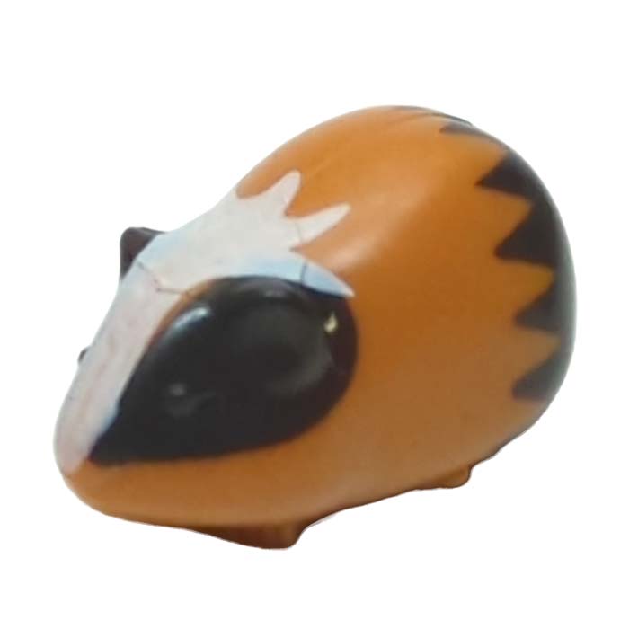 Cavia, gehurkt lichtbruin-donkerbruin-wit