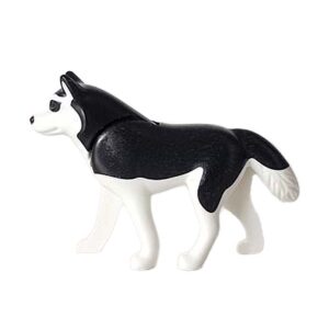 Husky Zwart Wit