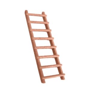 Ladder