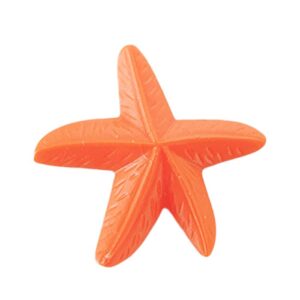 Playmobil Dier Zeester Oranje