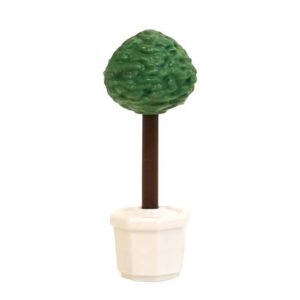 Ceremonie Plant in pot – Bonzai boom